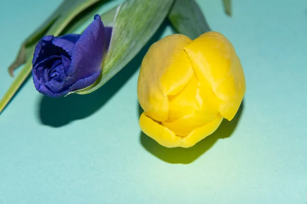 Красивий Букет Квітів Ятному Фоні — стокове фото