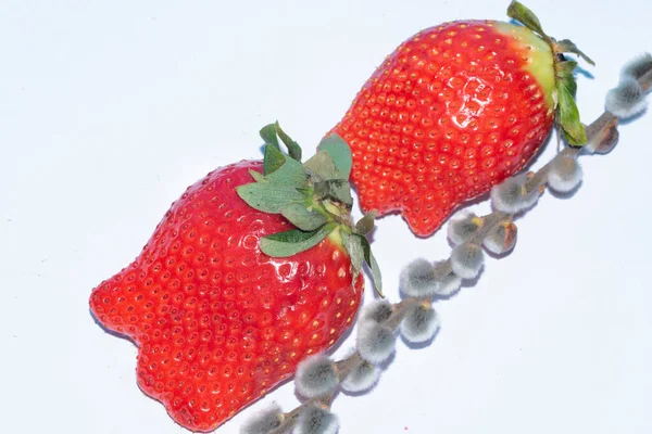 Frische Erdbeeren Und Blumen Nahsicht — Stockfoto