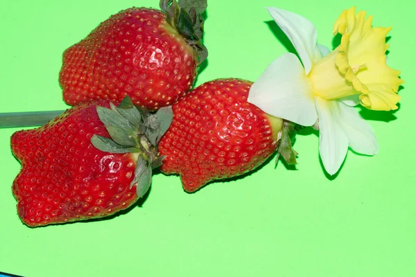 Färska Jordgubbar Och Blommor Närbild — Stockfoto