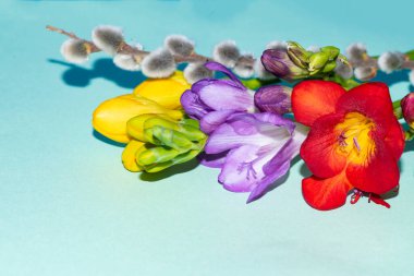 Yeşil arka planda güzel narin çiçekler