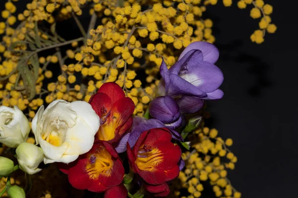 Nahaufnahme Von Schönen Blumen Auf Schwarzem Hintergrund — Stockfoto