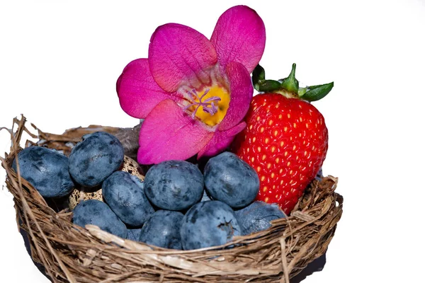 Ostereier Nest Mit Erdbeere Blaubeeren Und Blume Auf Weißem Hintergrund — Stockfoto