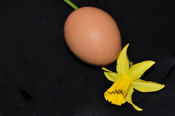 Siyah Arka Planda Çiçek Olan Paskalya Yumurtası — Stok fotoğraf