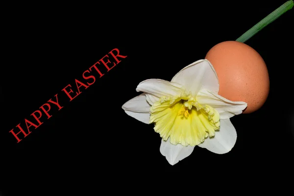 Easter Egg Flower Lettering Happy Easter Black Background — ストック写真