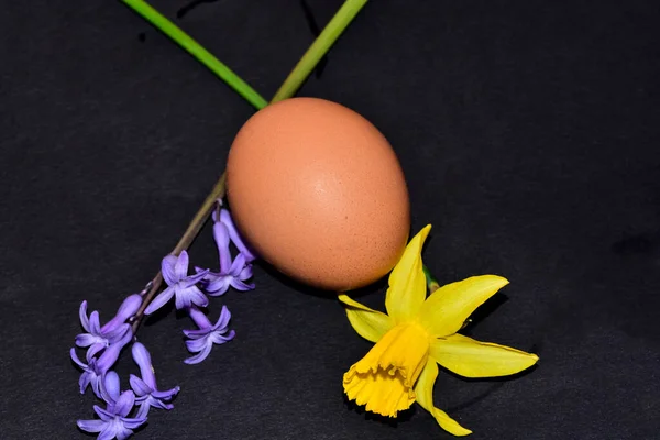 Siyah Arka Planda Çiçekler Olan Paskalya Yumurtası — Stok fotoğraf