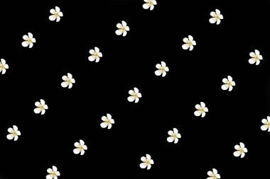 Siyah arka plan üzerine beyaz çiçekler ile Seamless Modeli