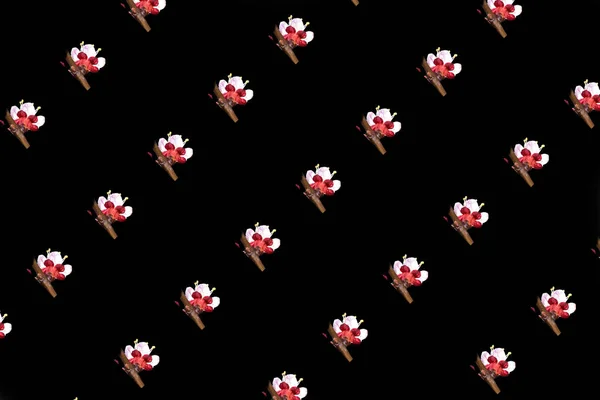 Bloemenpatroon Met Lentebloemen Zwarte Achtergrond — Stockfoto