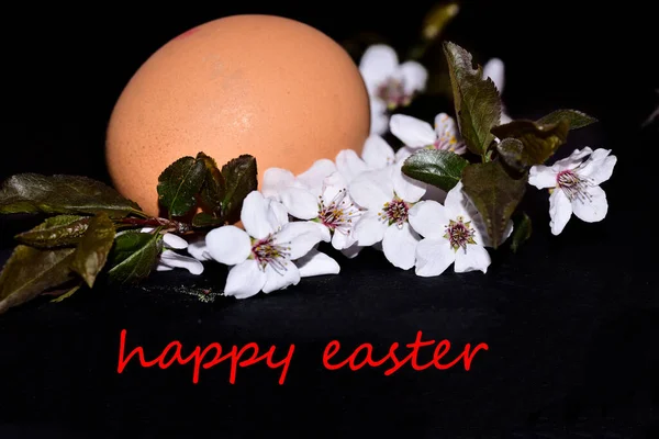 Easter Egg Flowers Lettering Happy Easter Black Background — ストック写真