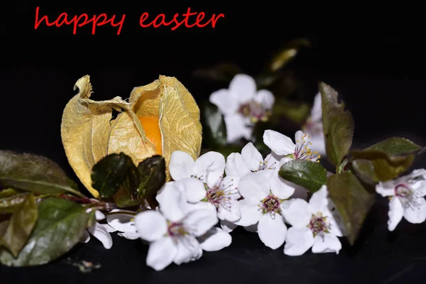 White Flowers Physalis Plant Lettering Happy Easter Black Background — ストック写真