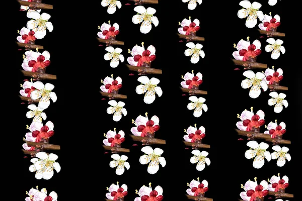 Siyah Arka Planda Bahar Çiçekleri Olan Çiçek Deseni — Stok fotoğraf