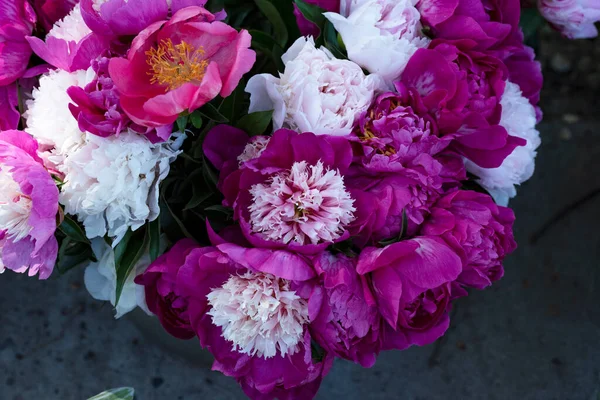 Beautiful Bouquet Peonies Close View — Stock Photo, Image