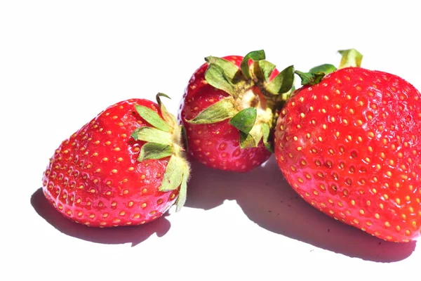 Gros Plan Fraises Fraîches Sur Fond Blanc — Photo