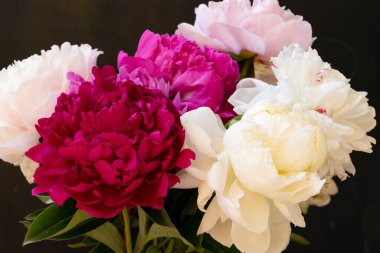 Koyu arkaplanda güzel bir şakayık buketi