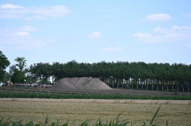 field of wheat on the countryside, agriculture concept