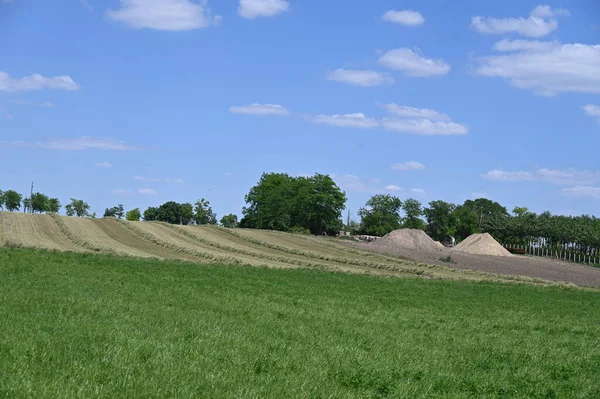 field of wheat on the countryside, agriculture concept