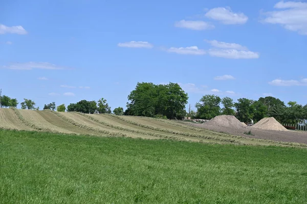 field of wheat on the countryside, agriculture concept
