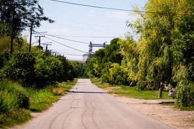 Parktaki yol, doğa.