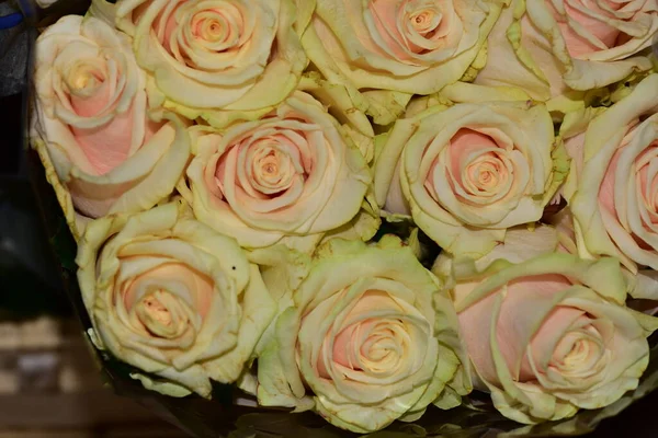 Beautiful Bouquet Gorgeous Roses — Stock Photo, Image