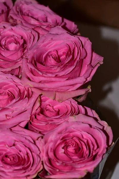 Schöner Strauß Wunderschöner Rosen — Stockfoto