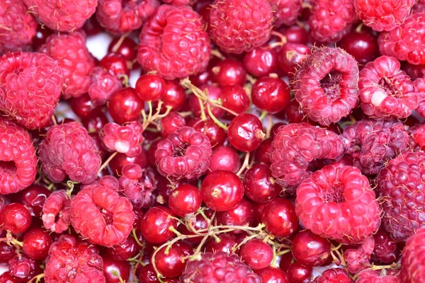 Fresh Red Berries Close View — Stock Photo, Image