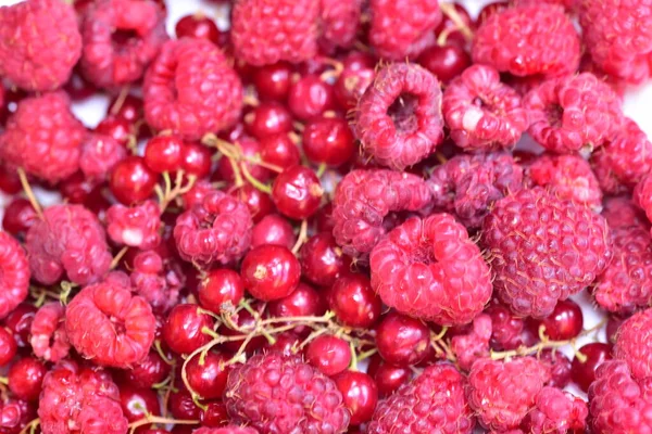 Fresh Red Berries Close View — Stock Photo, Image