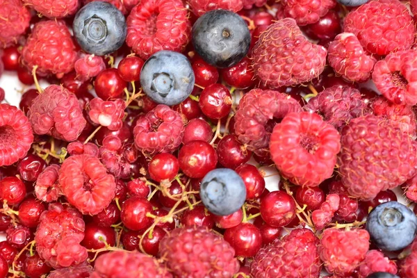 Fresh Blueberries Red Berries Close View — Stock Photo, Image