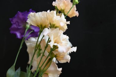 Siyah arka planda güzel bir buket çiçek.