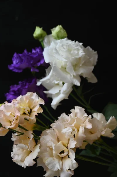 黒を背景にした美しい花束 — ストック写真