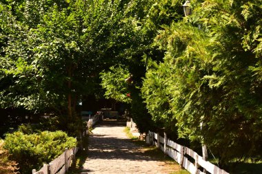 Parkın güzel manzarası