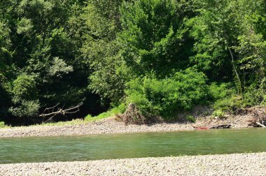 landscape of the lake. nature background.