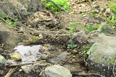 Parktaki şelalenin güzel manzarası
