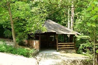 Ormandaki ahşap kulübe