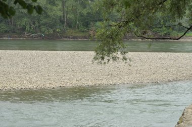 amazing view of the river with trees