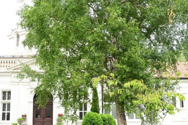 Şehrin güzel manzarası