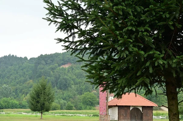 Hermosa Vista Naturaleza — Foto de Stock