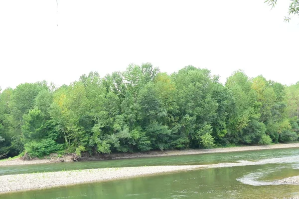 Amazing View River Trees — Fotografia de Stock