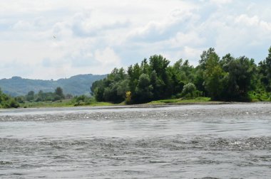 amazing view of the river with trees