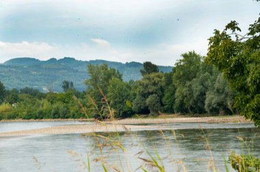 amazing view of the river with trees