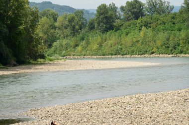 amazing view of the river with trees