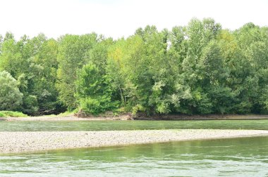 amazing view of the river with trees