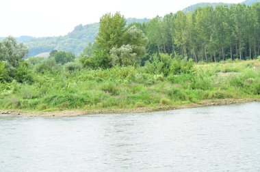 amazing view of the river with trees