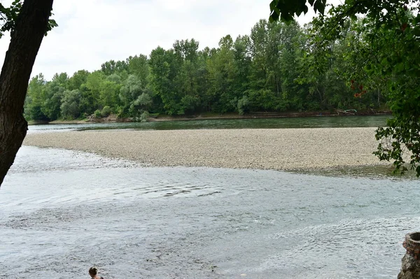 Amazing View River Trees —  Fotos de Stock