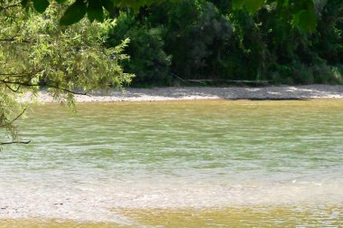 amazing view of the river with trees