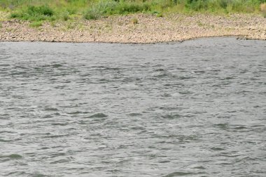 Nehirdeki su dalgaları