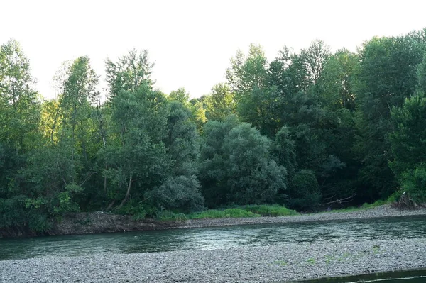 Amazing View River Trees — Stockfoto