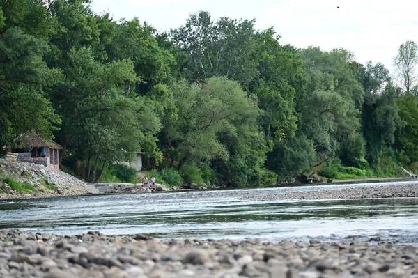 Amazing View River Trees — Stock Fotó