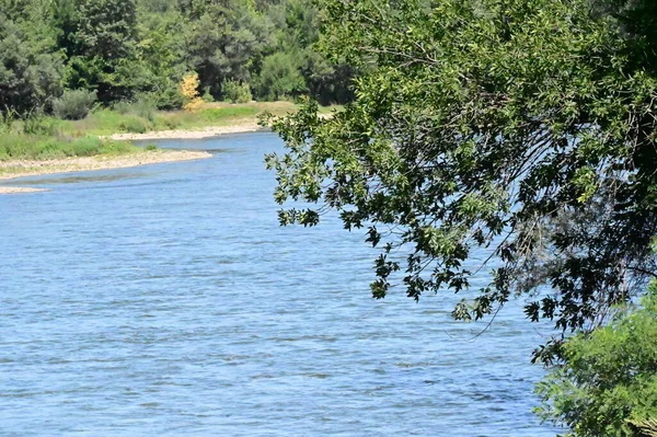 Amazing View River Trees — Fotografia de Stock