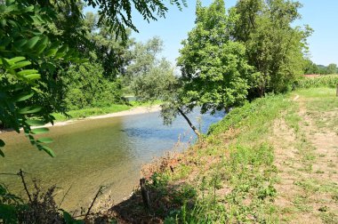 amazing view of the river with trees