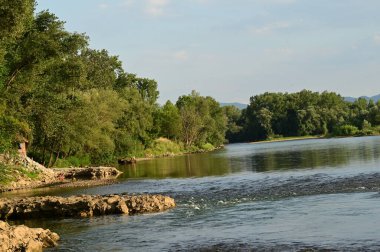 amazing view of the river with trees
