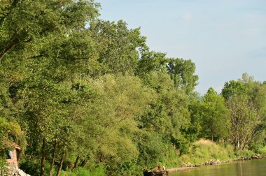 amazing view of the river with trees